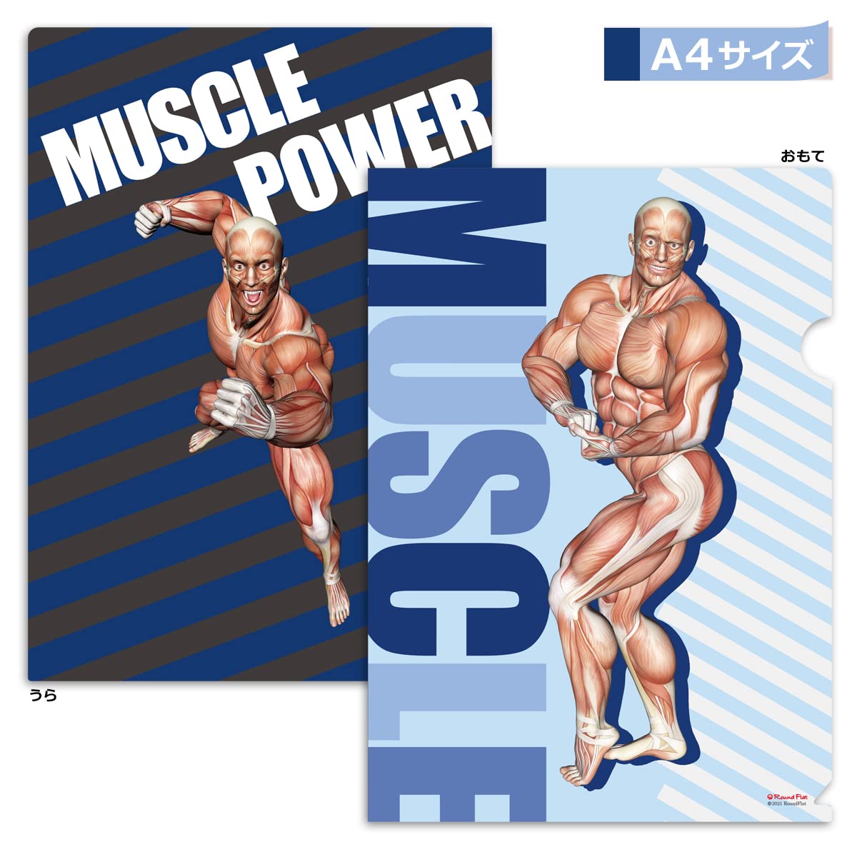 筋次郎コレクション1 クリアファイル3種4枚セット Amazon | 筋肉家 筋次郎コレクション1 クリアファイル3枚セット A4